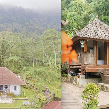 Villa Four Monkeys House Bedugul  Esterno foto