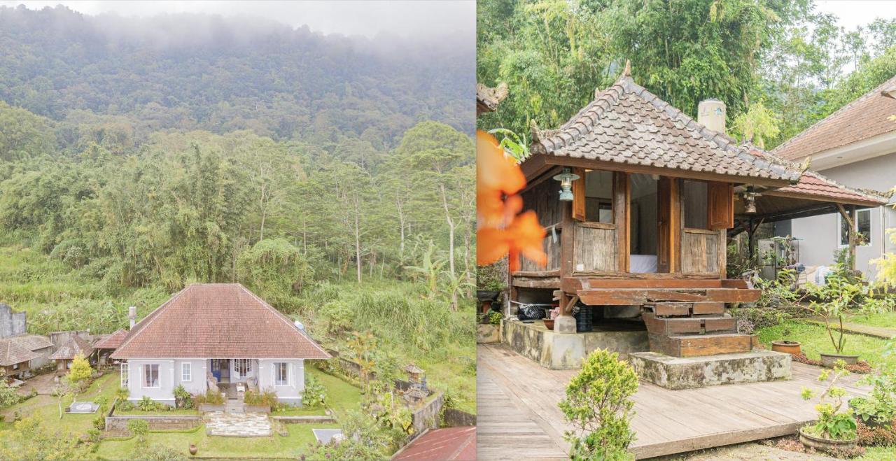 Villa Four Monkeys House Bedugul  Esterno foto