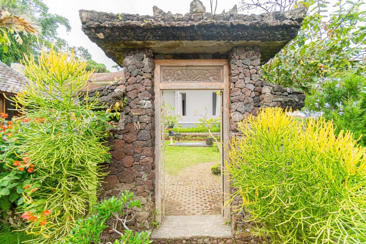 Villa Four Monkeys House Bedugul  Esterno foto