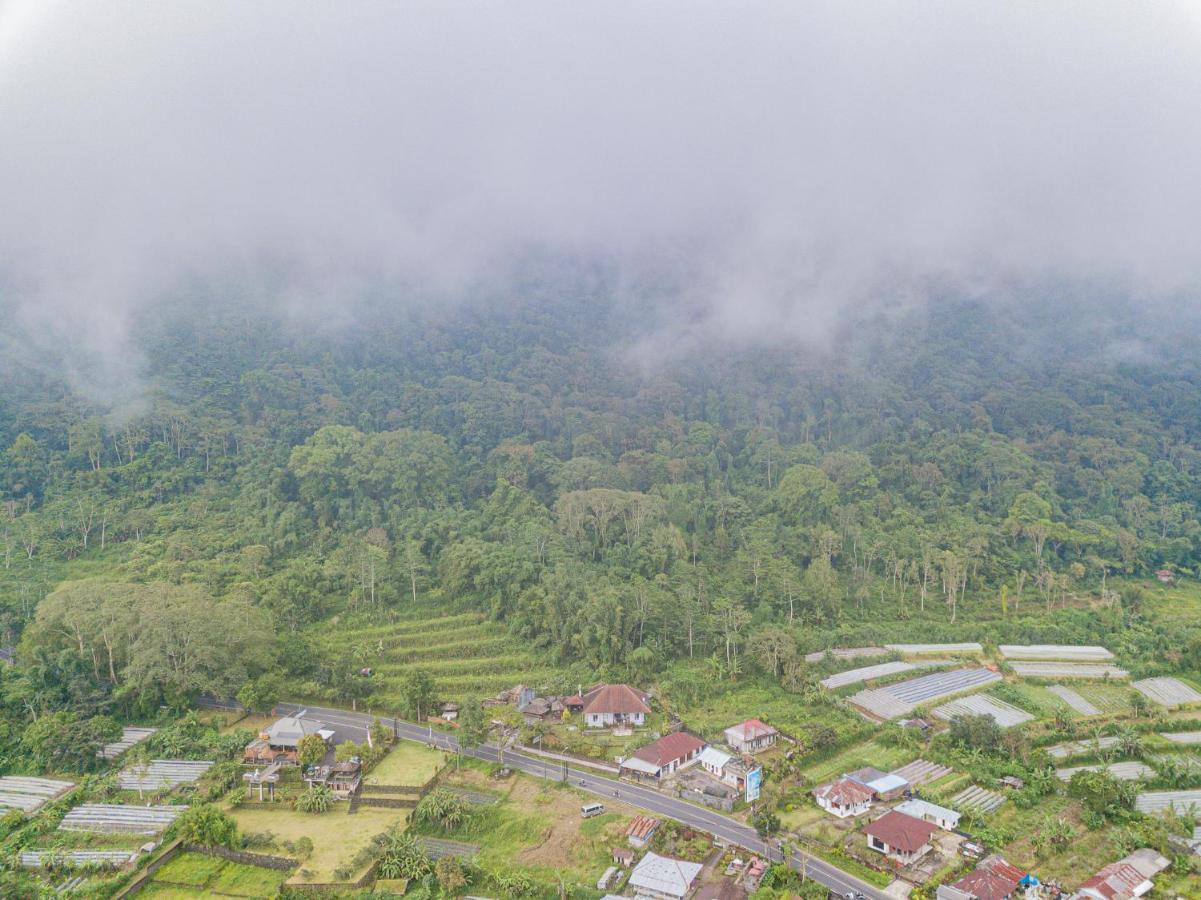 Villa Four Monkeys House Bedugul  Esterno foto