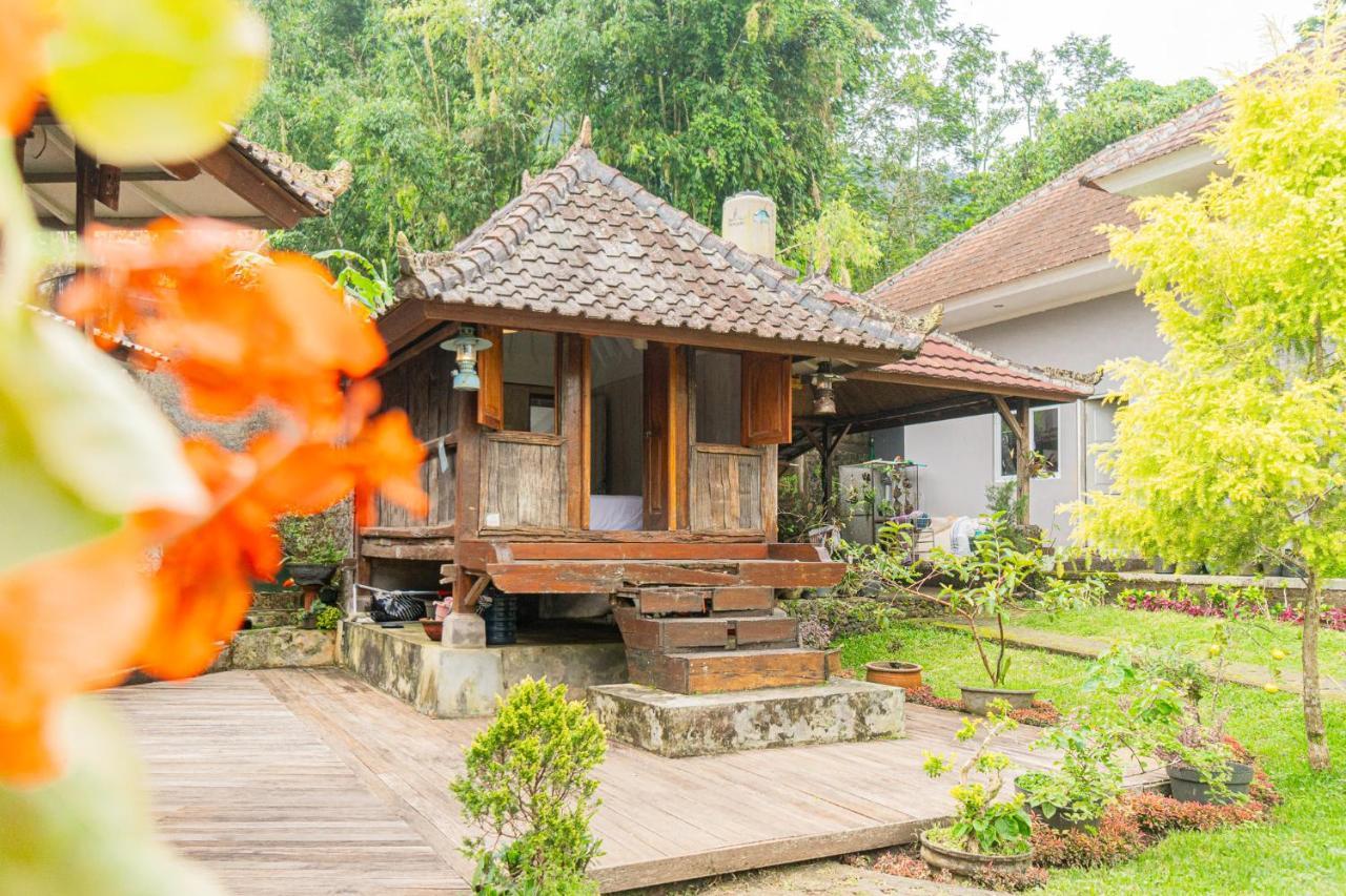 Villa Four Monkeys House Bedugul  Esterno foto