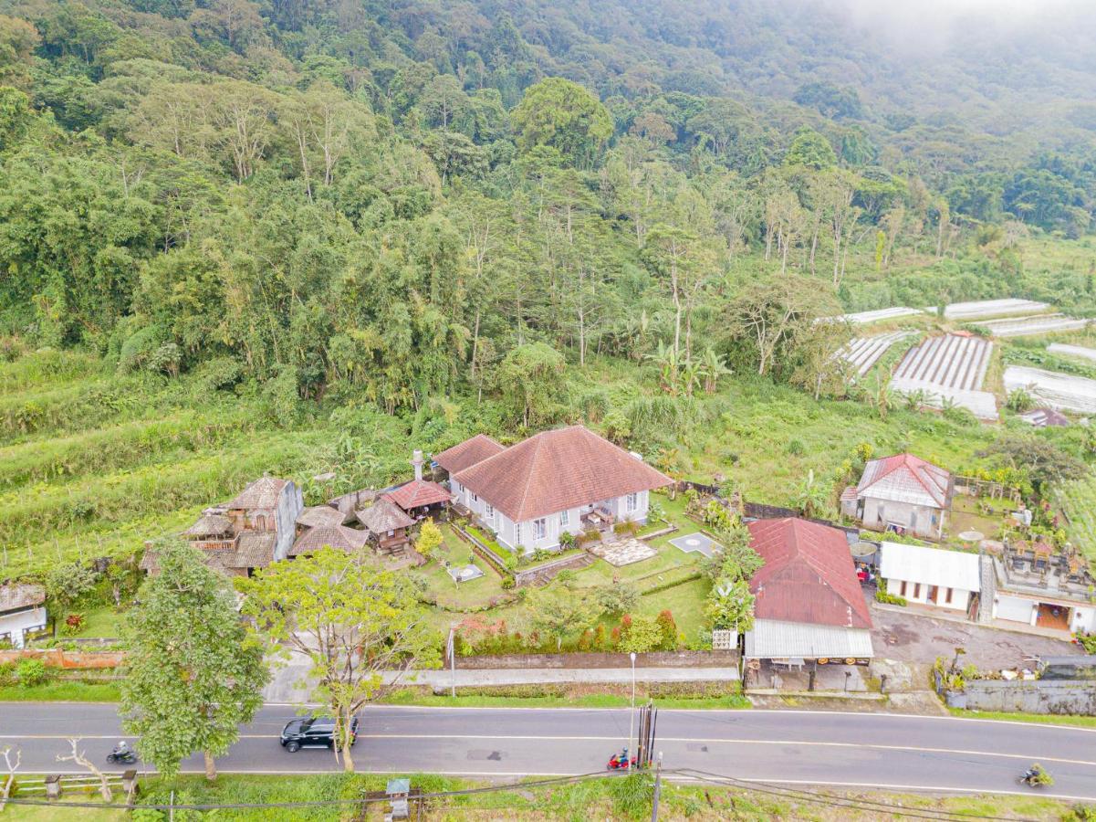 Villa Four Monkeys House Bedugul  Esterno foto