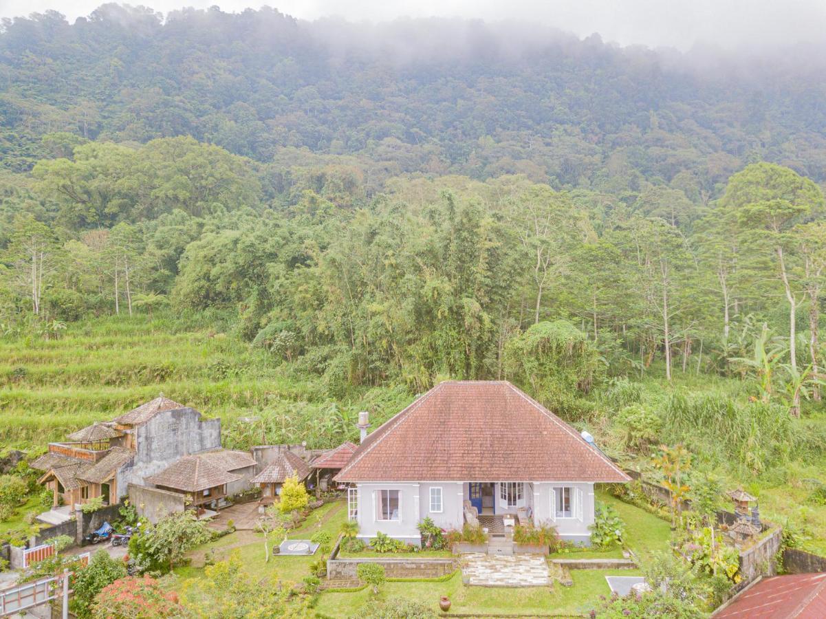 Villa Four Monkeys House Bedugul  Esterno foto