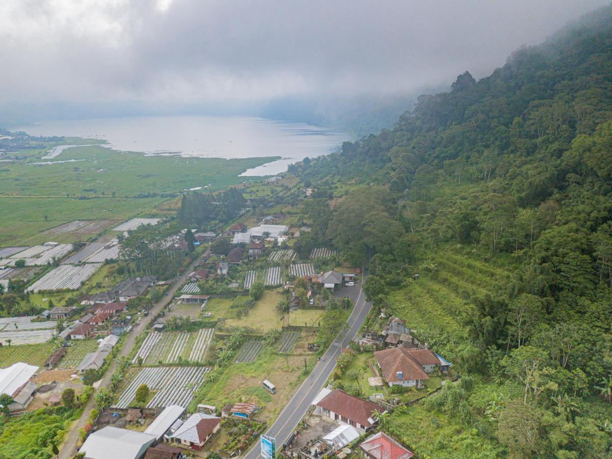 Villa Four Monkeys House Bedugul  Esterno foto